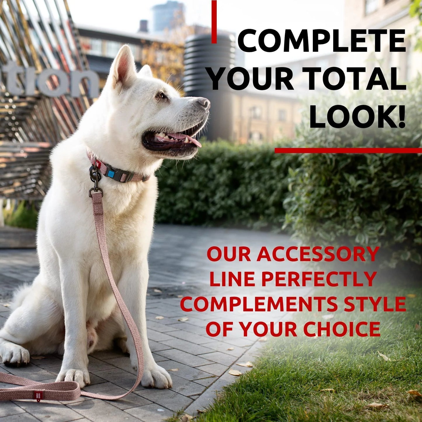 Recycled Cotton Dog Leash 6 Ft 10 Ft Eco Friendly Collar for Small Medium & Large Dogs Reflective Dog Leash for Medium Dogs Strong Leashes for Large Breed Dogs Puppy Leash for Small Dogs