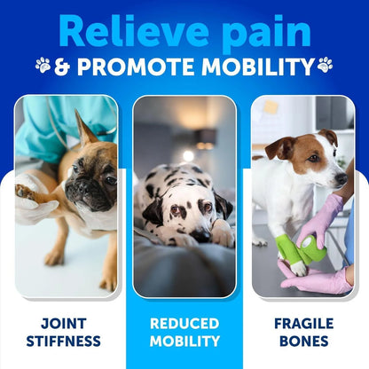 Hip and Joint Supplement for Dogs Glucosamine Joint Pain Relief Chews With