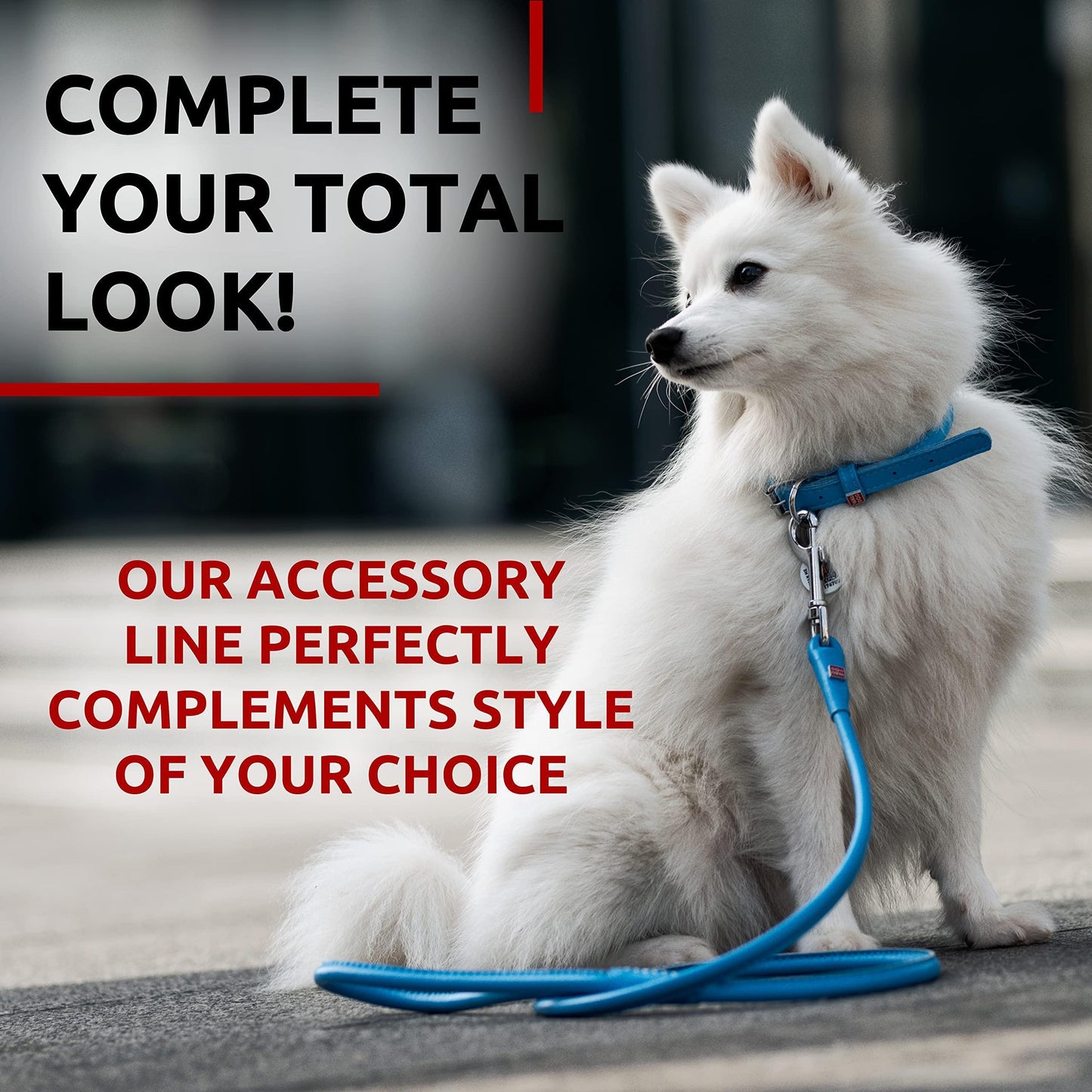 WAUDOG Rolled Leather Dog Leash 4Ft * 0.3 in for Small Medium and Large Dogs Heavy Duty Leather Puppy Leash for Outdoor Walking Running Training Strong Dog Leashes for Large Breed Dogs (Blue)