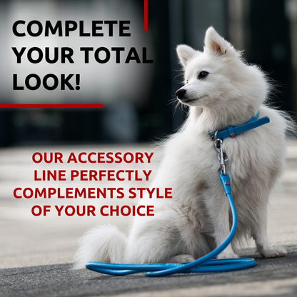 WAUDOG Rolled Leather Dog Leash 4Ft * 0.3 in for Small Medium and Large Dogs Heavy Duty Leather Puppy Leash for Outdoor Walking Running Training Strong Dog Leashes for Large Breed Dogs (Blue)