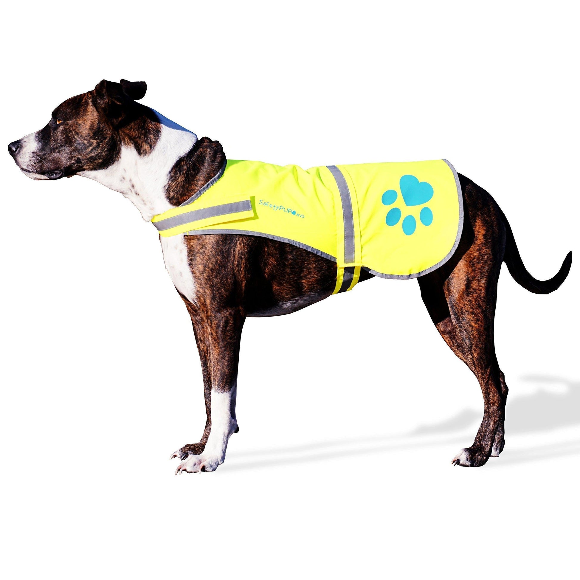 Dog Reflective Vest XL Size Neon Yellow Hi Vis Safety Vest Keeps Dogs Visible