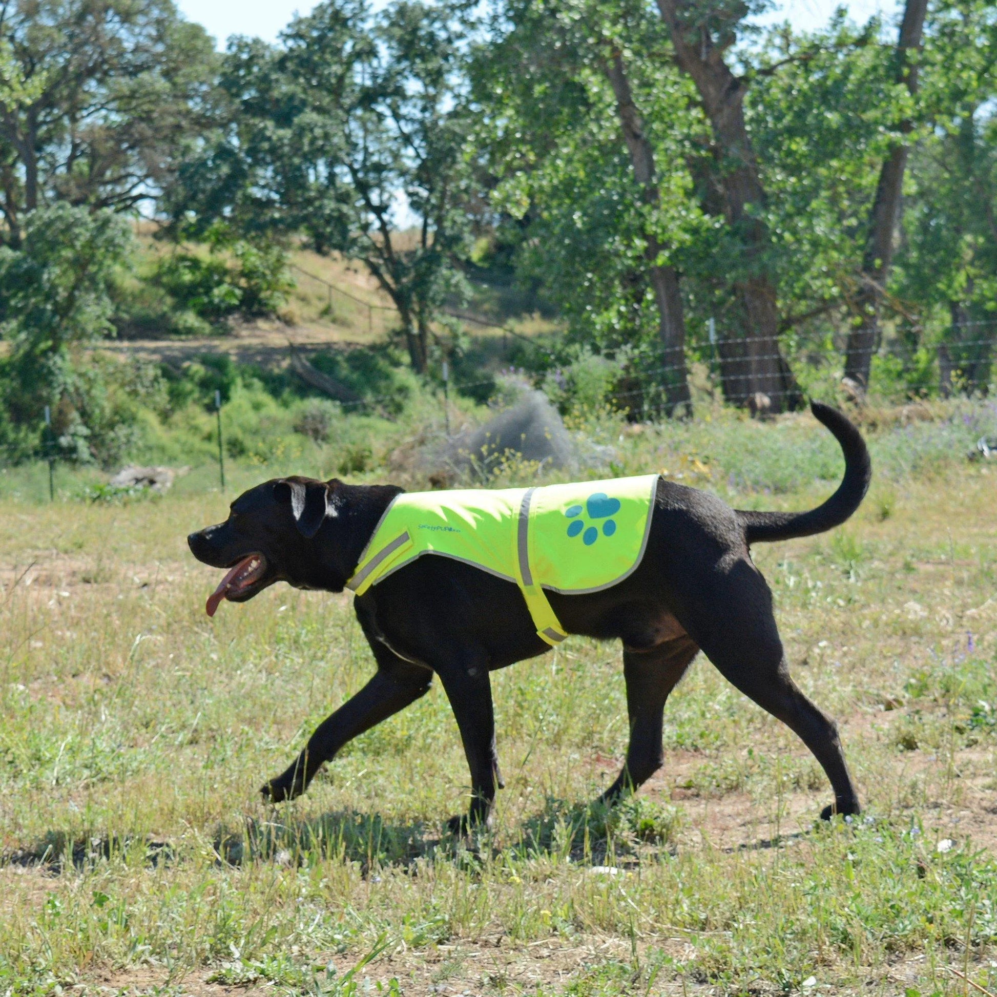 Dog Reflective Vest XL Size Neon Yellow Hi Vis Safety Vest Keeps Dogs Visible