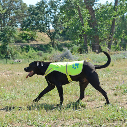Dog Reflective Vest XL Size Neon Yellow Hi Vis Safety Vest Keeps Dogs Visible