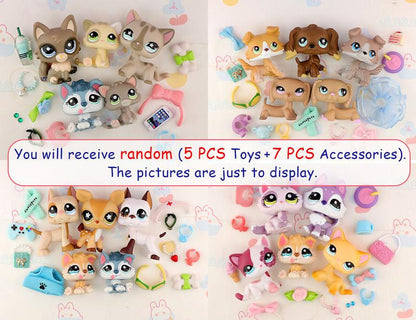 5 Pc Random Miniature Cat and Dog Figures and Random 7 Pc Accessories for Lps Collection