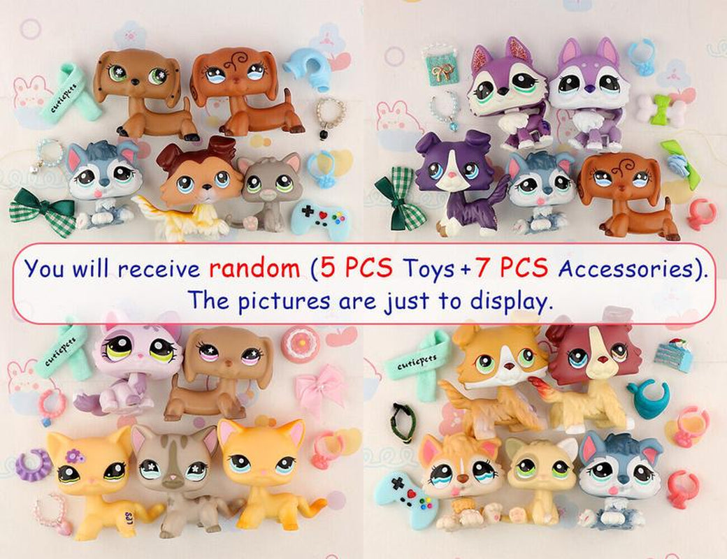 5 Pc Random Miniature Cat and Dog Figures and Random 7 Pc Accessories for Lps Collection