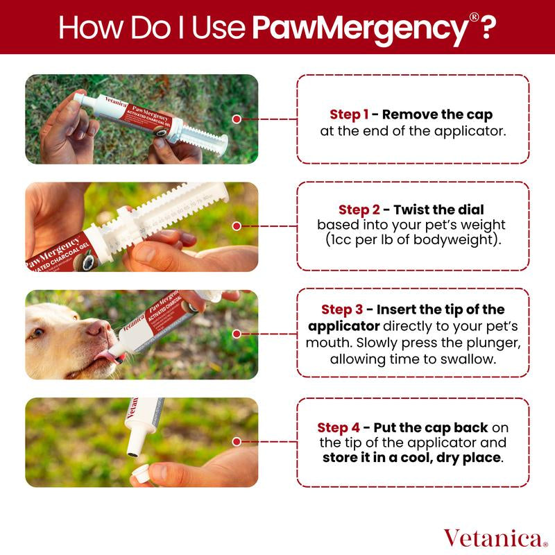 Pawmergency - Activated Charcoal & Kaolin First Aid Kit Essential for Dogs, Puppy, Cats, & Pets - Supports Digestive Comfort - Anti-Diarrheal Constipation Relief Electrolytes Gel for Beach Camping Hiking
