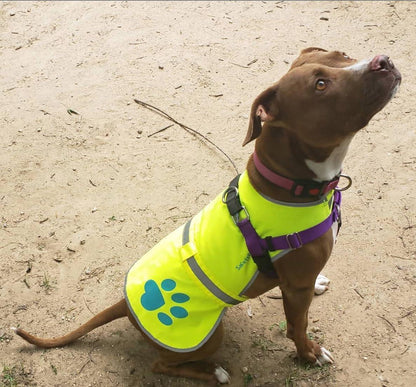 Dog Reflective Vest XS Size Yellow Hi Vis Safety Vest Keeps Dogs Visible on And