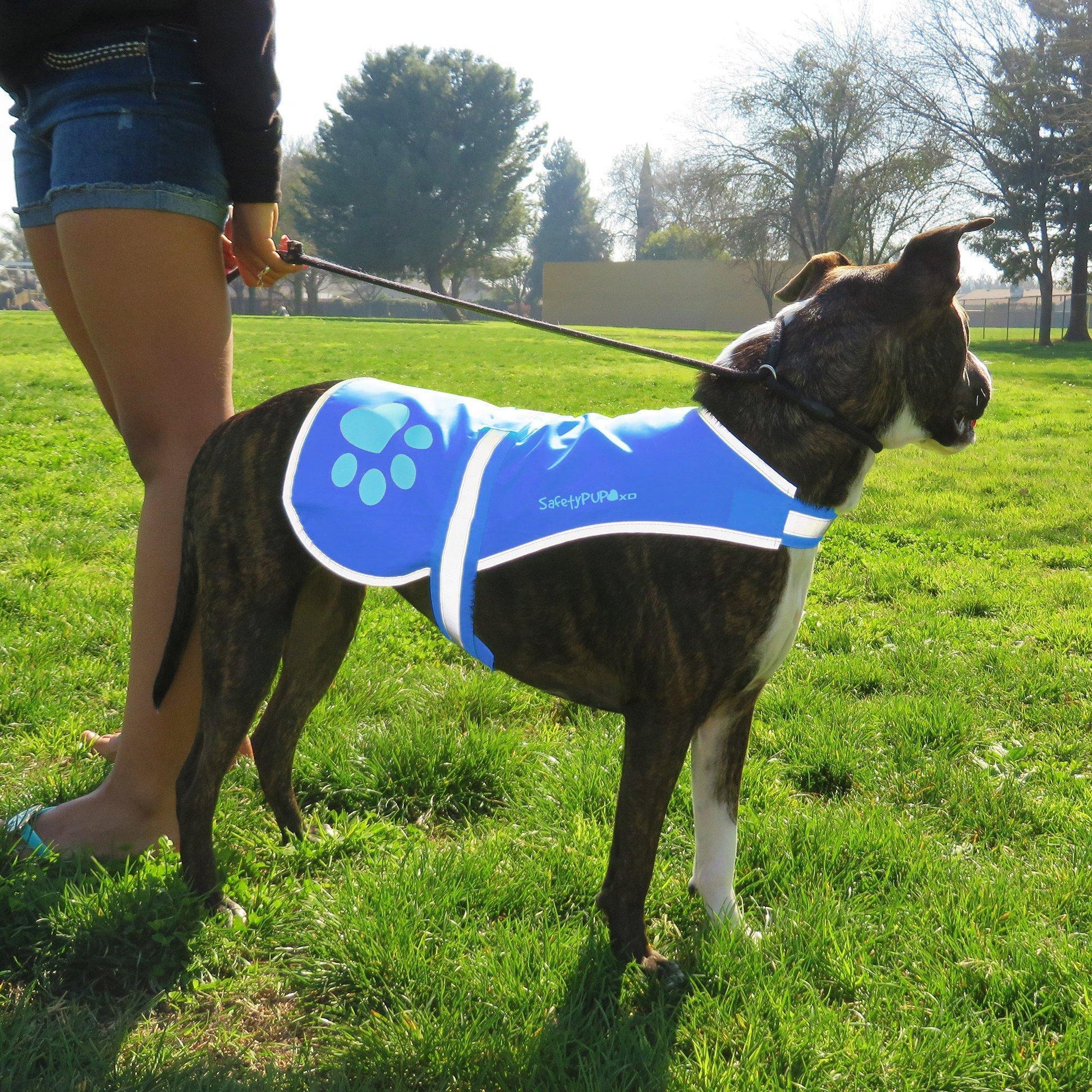 Dog Reflective Vest L Size Chest 31.63 in Neck 23 in Hi Vis Fluorescent