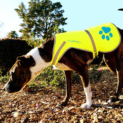 Dog Reflective Vest XS Size Yellow Hi Vis Safety Vest Keeps Dogs Visible on And