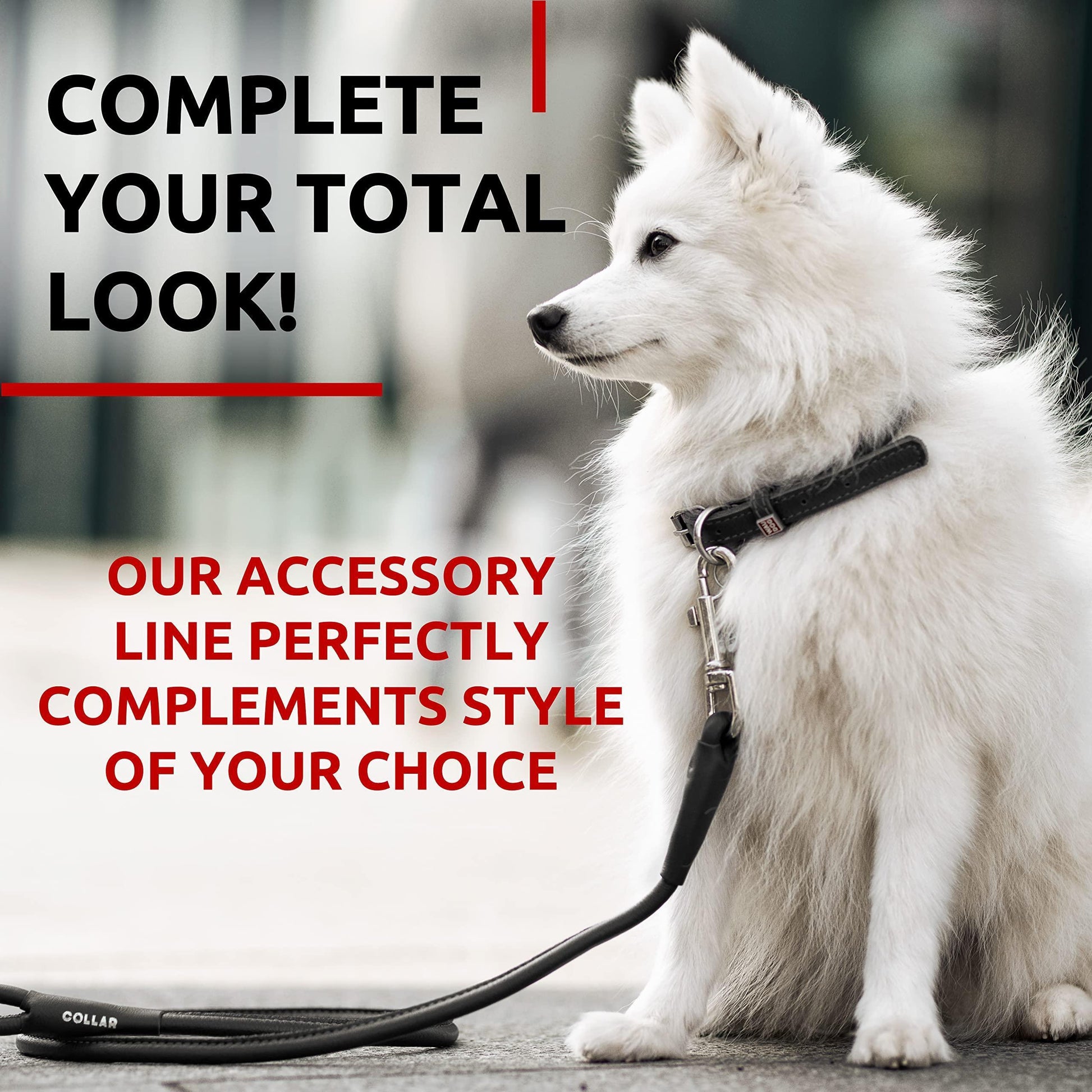 Rolled Leather Dog Leash 4Ft * 0.5 in for Small Medium and Large Dogs Heavy Duty Leather Puppy Leash for Outdoor Walking Running Training Strong Dog Leashes for Large Breed Dogs (Black)