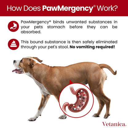 Pawmergency - Activated Charcoal & Kaolin First Aid Kit Essential for Dogs, Puppy, Cats, & Pets - Supports Digestive Comfort - Anti-Diarrheal Constipation Relief Electrolytes Gel for Beach Camping Hiking