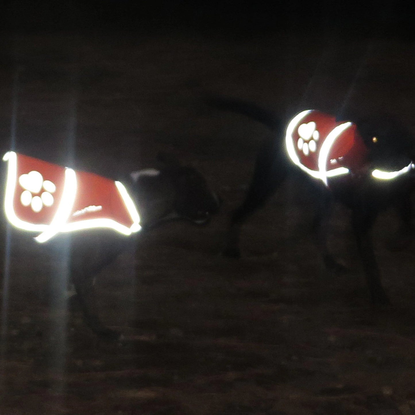Dog Reflective Vest XS Size Multiple Color Options with Hi Vis Fluorescent