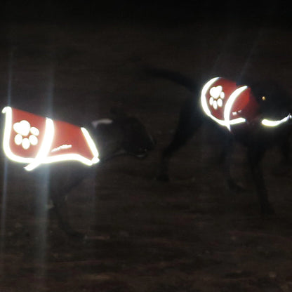 Dog Reflective Vest XS Size Multiple Color Options with Hi Vis Fluorescent