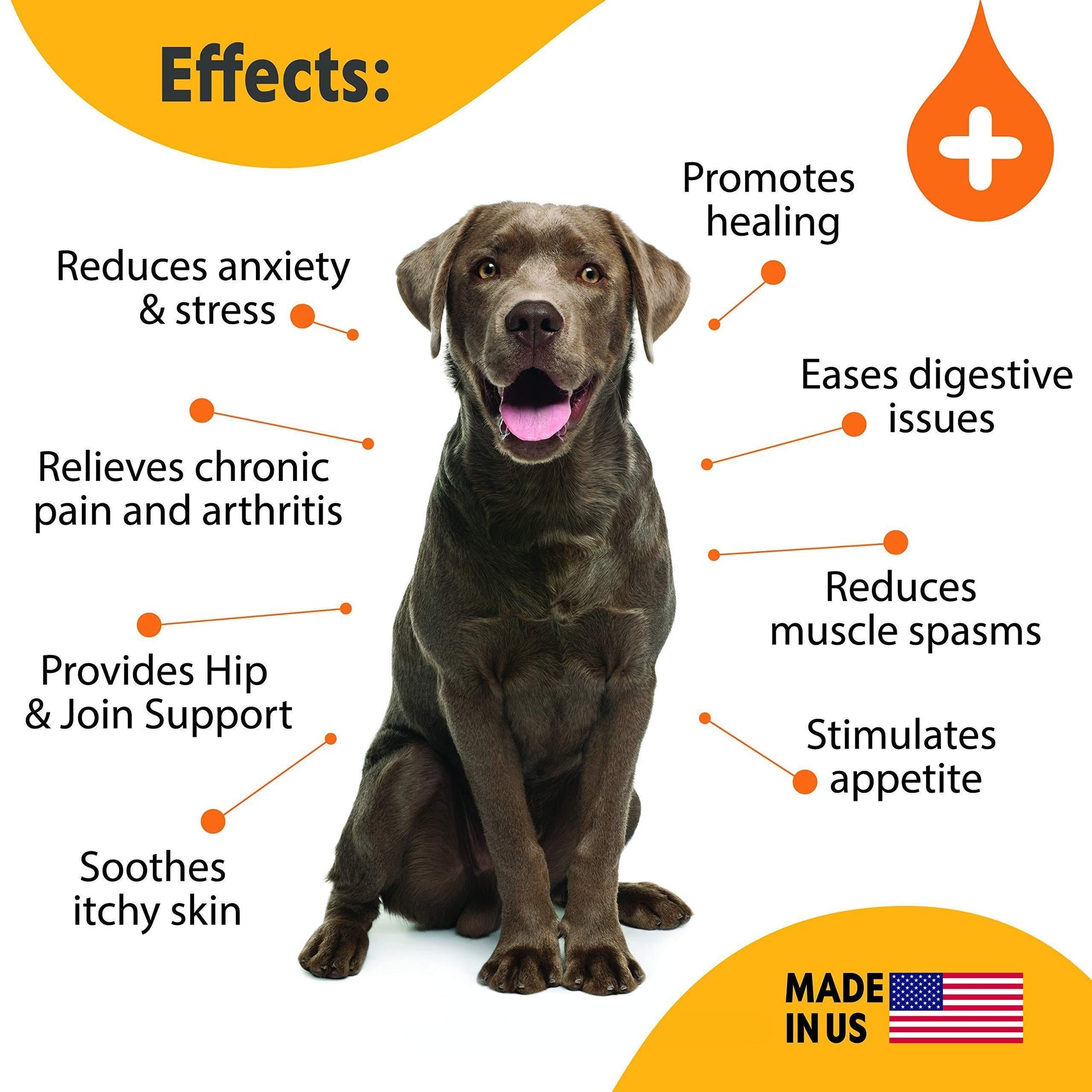 Hemp Oil for Dogs & Cats Large 2Oz Bottle Made in USA Joint Pain And