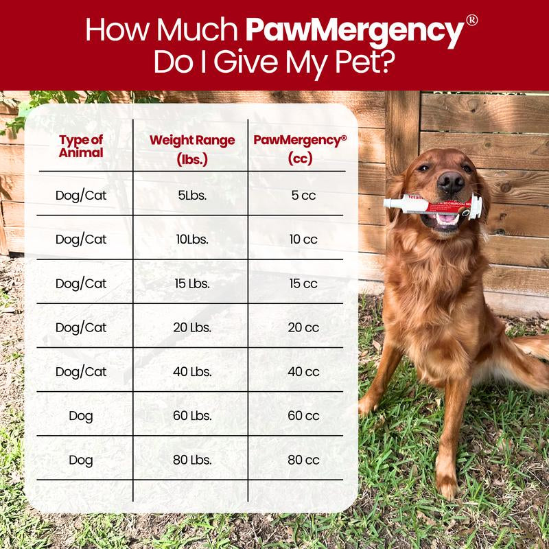 Pawmergency - Activated Charcoal & Kaolin First Aid Kit Essential for Dogs, Puppy, Cats, & Pets - Supports Digestive Comfort - Anti-Diarrheal Constipation Relief Electrolytes Gel for Beach Camping Hiking