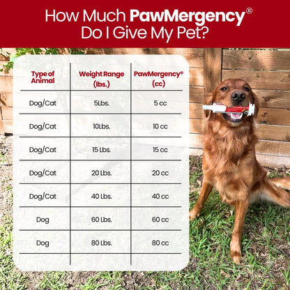Pawmergency - Activated Charcoal & Kaolin First Aid Kit Essential for Dogs, Puppy, Cats, & Pets - Supports Digestive Comfort - Anti-Diarrheal Constipation Relief Electrolytes Gel for Beach Camping Hiking