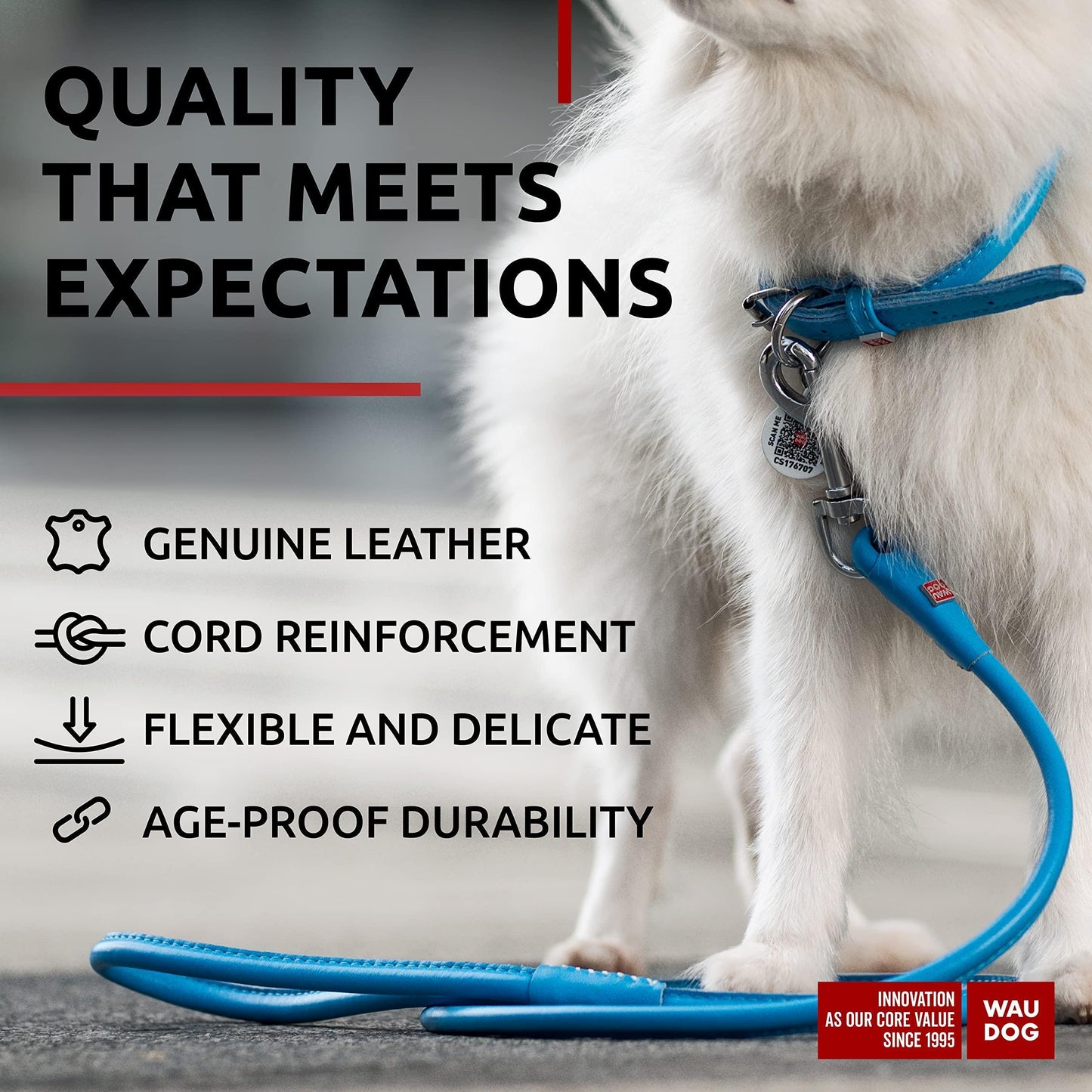 WAUDOG Rolled Leather Dog Leash 4Ft * 0.3 in for Small Medium and Large Dogs Heavy Duty Leather Puppy Leash for Outdoor Walking Running Training Strong Dog Leashes for Large Breed Dogs (Blue)