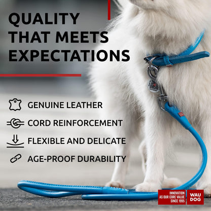 WAUDOG Rolled Leather Dog Leash 4Ft * 0.3 in for Small Medium and Large Dogs Heavy Duty Leather Puppy Leash for Outdoor Walking Running Training Strong Dog Leashes for Large Breed Dogs (Blue)