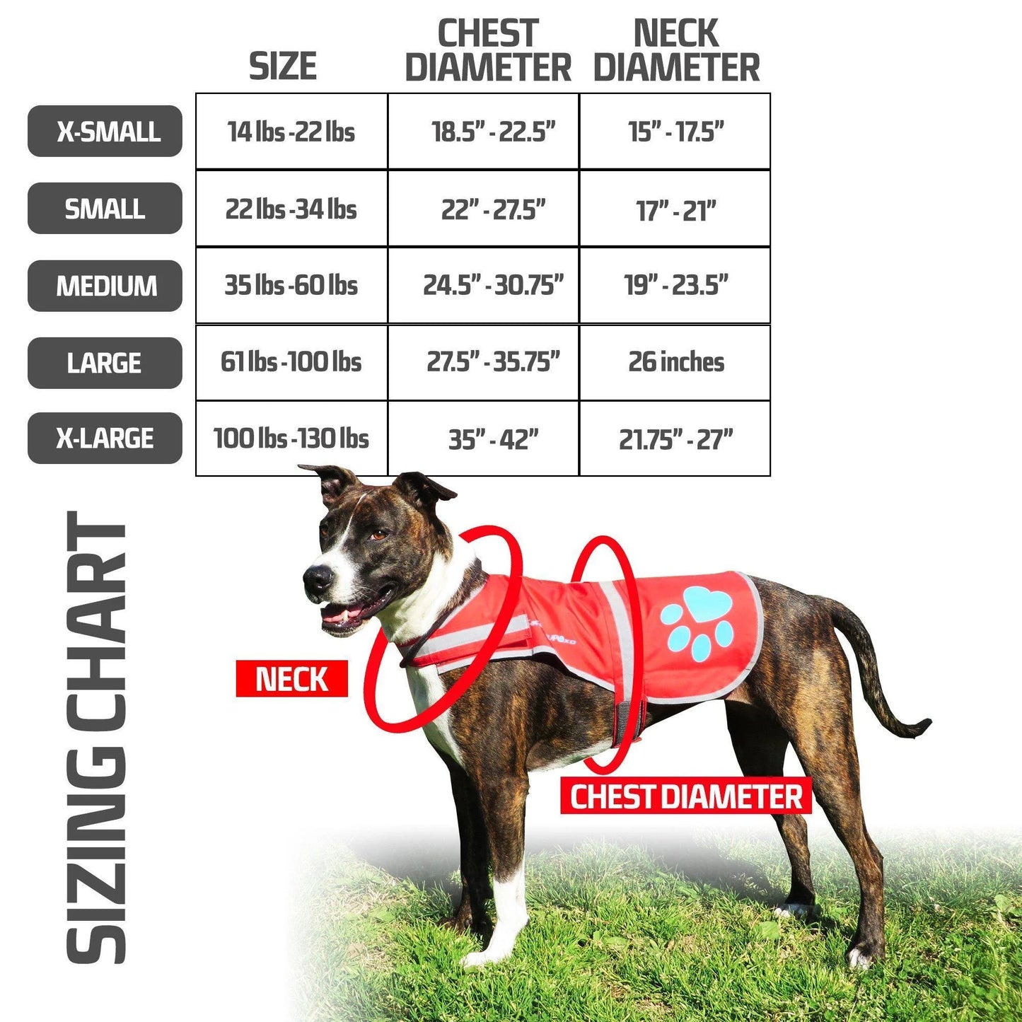 Dog Reflective Vest XS Size Multiple Color Options with Hi Vis Fluorescent