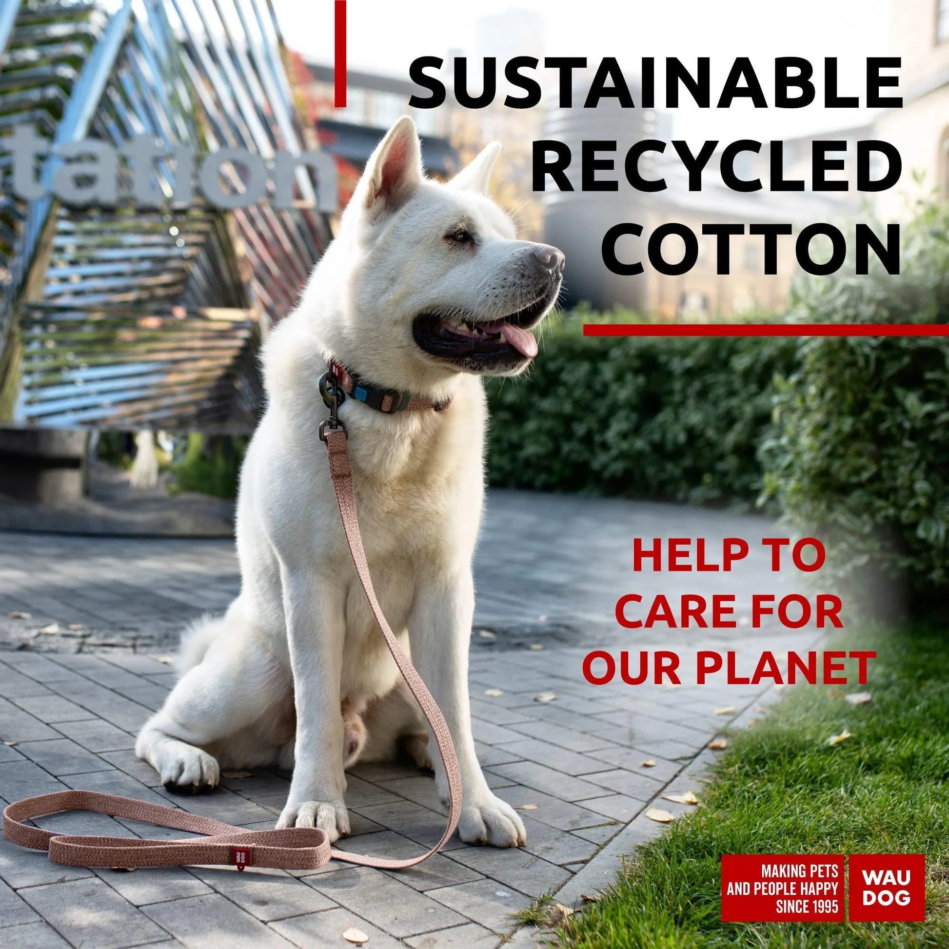 Recycled Cotton Dog Leash 6 Ft 10 Ft Eco Friendly Collar for Small Medium & Large Dogs Reflective Dog Leash for Medium Dogs Strong Leashes for Large Breed Dogs Puppy Leash for Small Dogs