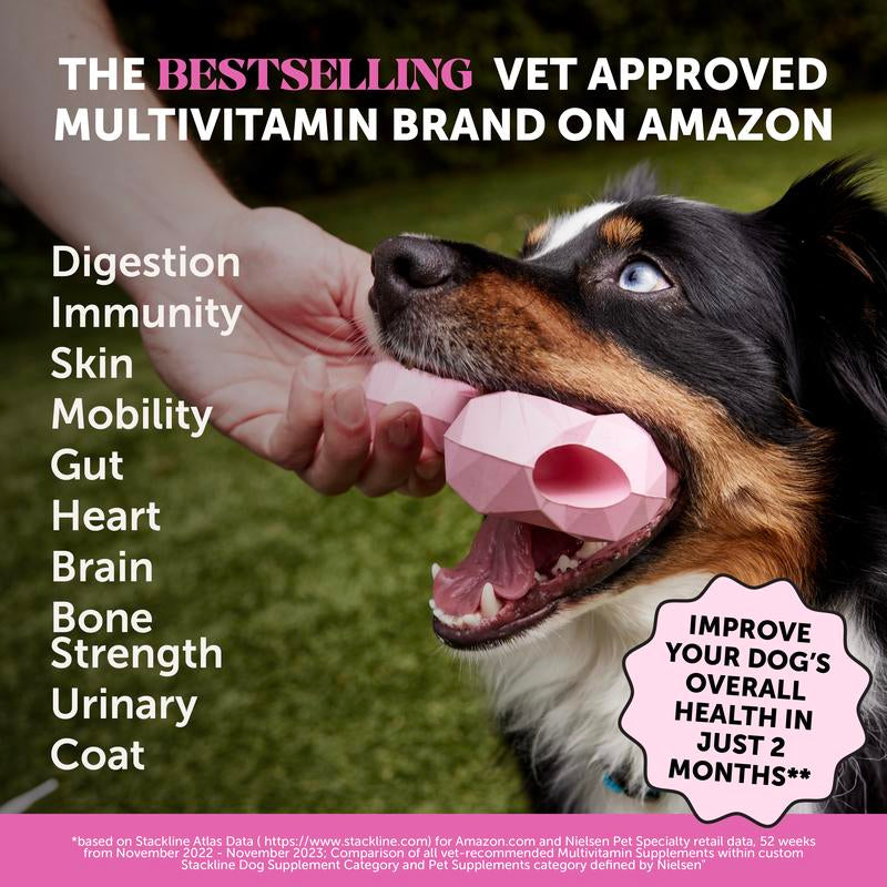 Pet Honesty Multivitamin 10-In-1 Daily Chews with Glucosamine, Omegas, and Probiotics for Dogs - Chicken Flavor Supplements for Dogs