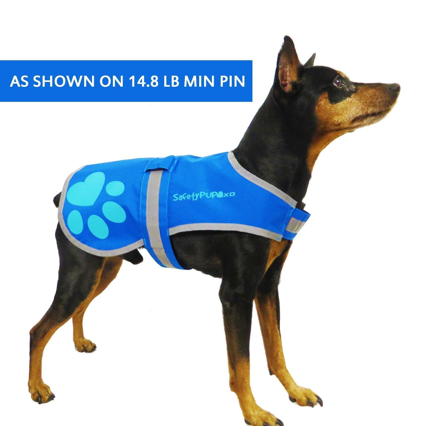 Dog Reflective Vest XS Size Multiple Color Options with Hi Vis Fluorescent
